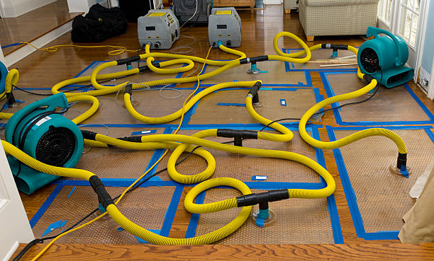 Professional Burst Pipe Water Damage technician working in Lafayette, LA